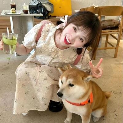 锦绣良缘国语